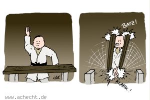 Cartoon: Karate